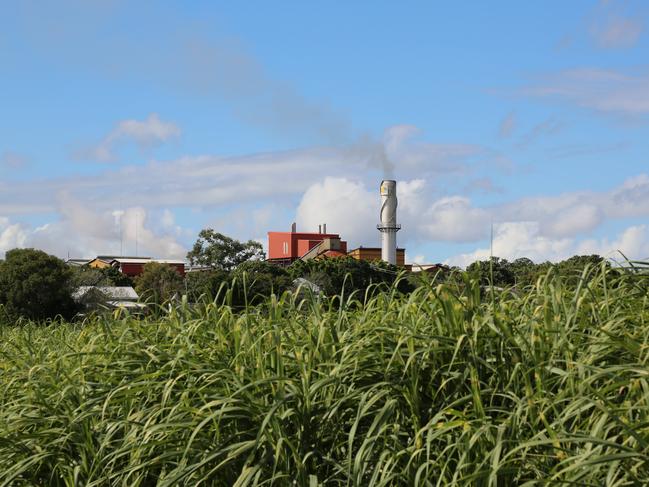 MSF Sugar Maryborough Region Mill has hit a hurdle in its sale plans. Photograph by Maggie Zemek