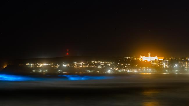 ONE-TIME USE ONLY: Bio luminescence in Manly on Sunday. Picture: Joel Coleman of Saltmotion Gallery