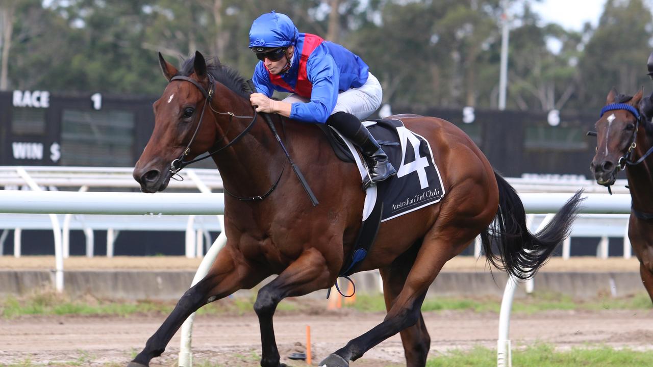 Lost And Running heads to the TAB Everest on Saturday where Hugfh Bowman will take the ride. Picture: Grant Guy