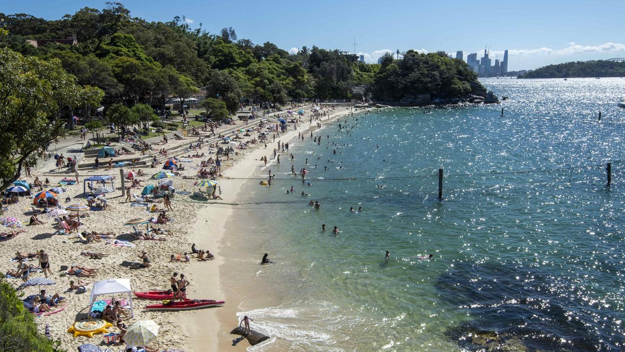 Sydney’s Shark Beach in Vaucluse to be shut all summer due to delayed ...