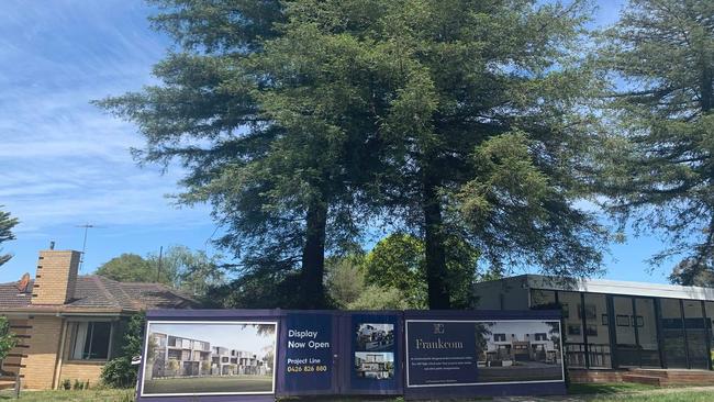 All the trees at 48-52 Whitehorse Rd, Blackburn are to be cleared for apartments.