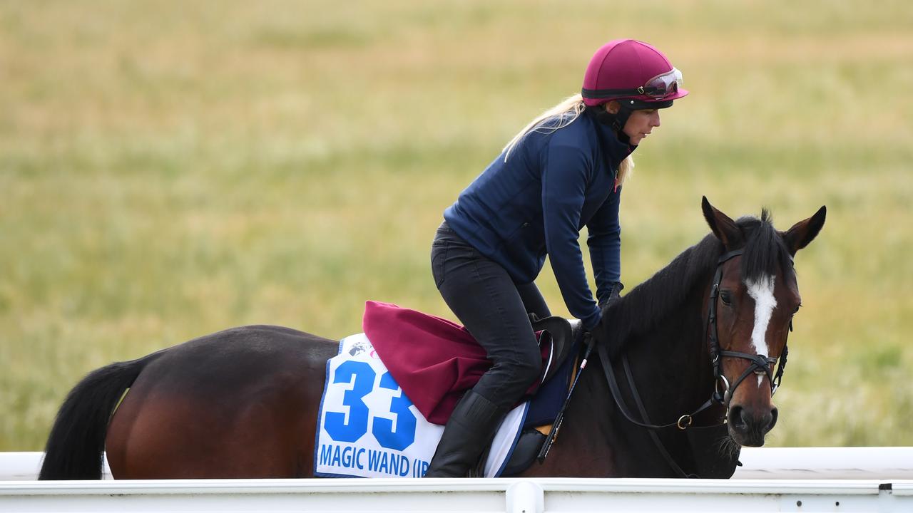 Melbourne Cup runner Magic Wand. (AAP Image/Vince Caligiuri)