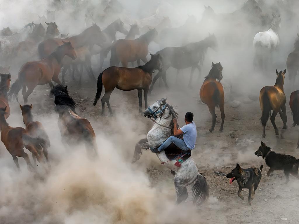 ‘Wild Horses’ ... This photo was taken in a village called Hormetci in Kayseri, Turkey. In the village, there are people who take care of the horses and their needs. These horses are often used for riding purposes by men of the village. They sometimes catch “Yılki horses” (a kind of wild horse) to domesticate. Picture: Dilek Uyar, Turkey, Entry, Open, Motion, 2018 Sony World Photography Awards