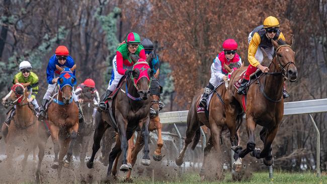 Race 3. The Buchan Cup is held in Buchan after Bushfires tore through the region burning much of the track and surrounds. The fires also burnt the finishing post. Picture: Jason Edwards