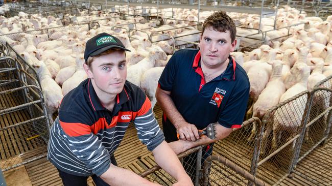 Shearers Benn Heinrick from Robertstown and Nathan Meaney from Kapunda at the showgrounds. Picture: AAP / Brenton Edwards