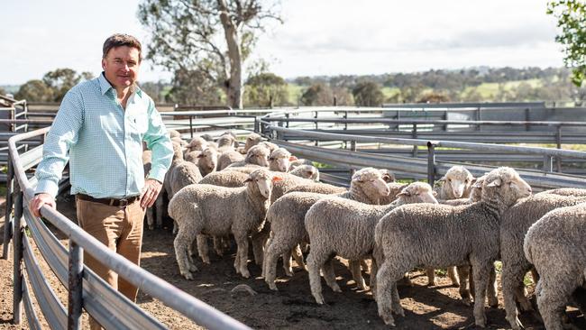 WoolProducers Australia president Ed Storey, from Yass, NSW.