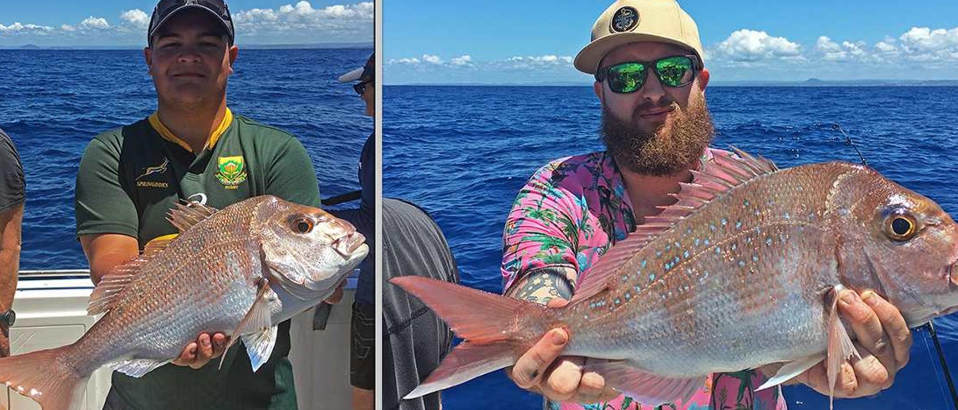 GOTCHA - Snapper from a recent Cougar One charter to Sunshine Wide. Photo: www.fishingnoosa.com.au