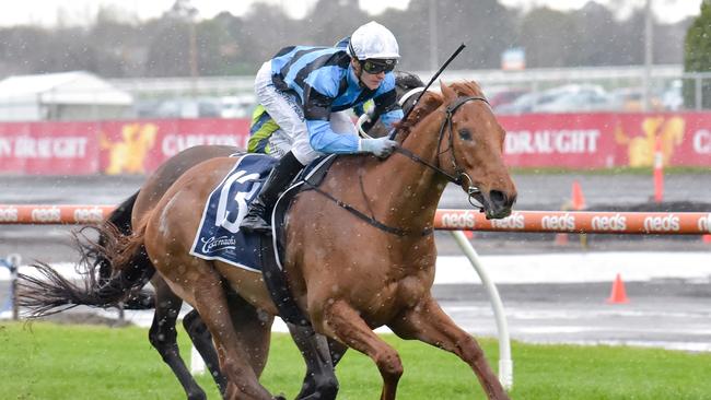 Smokin’ Romans will be out for back to back Turnbull Stakes triumphs at Flemington on Saturday. Picture: Racing Photos via Getty Images