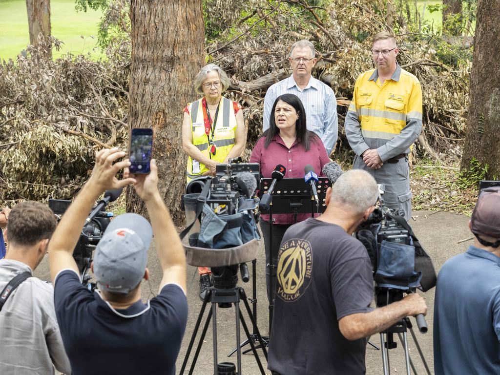 Minister Grace Grace speaks to the media regarding storm clean-up at Tamborine Mountain, on Saturday. Picture: Richard Walker