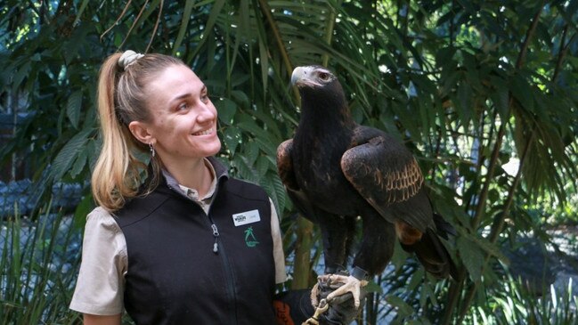 Currumbin Wildlife Sanctuary will reopen will open on June 26. Picture: Supplied.