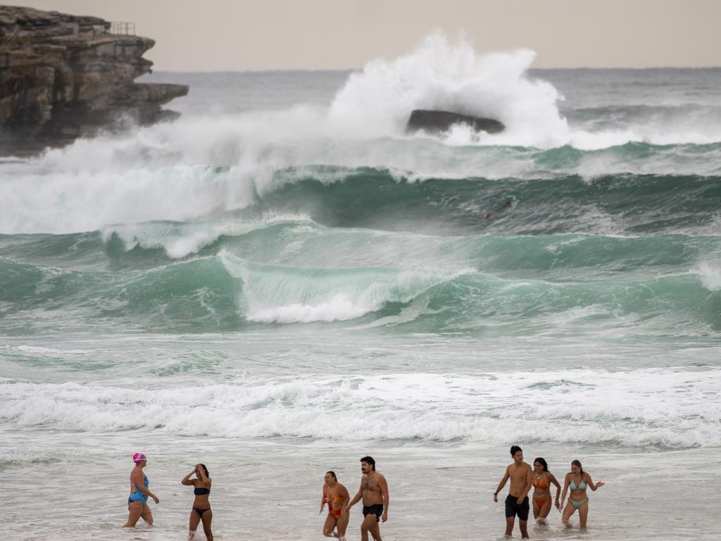 Beachgoers take to the water at Bondi this morning. Picture: Jeremy Piper