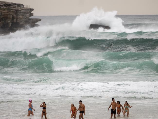 Beachgoers take to the water at Bondi this morning. Picture: Jeremy Piper