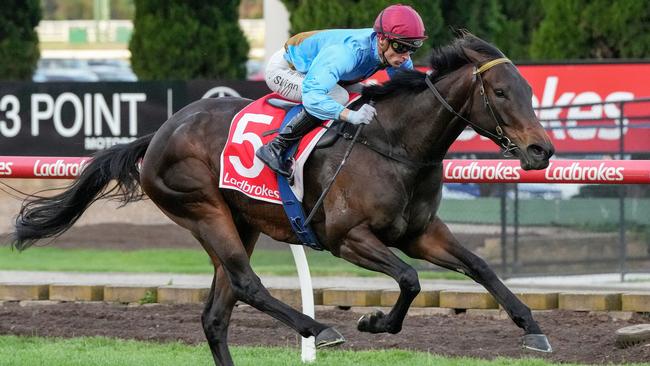 The Valley specialist Apache Song will face a tricky task at weight-for-age in Friday night’s $350,000 Australia Stakes. Picture: Racing Photos via Getty Images.