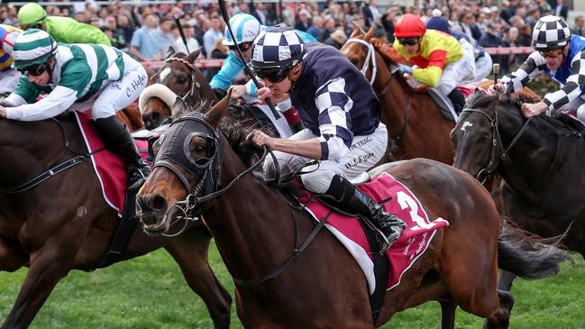 Young Werther (NZ) ridden by Billy Egan wins the Strathmore Community Bendigo Bank Handicap at Moonee Valley Racecourse on September 09, 2023 in Moonee Ponds, Australia. (Photo by George Sal/Racing Photos via Getty Images)