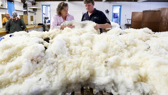 What a load: Shaun’s new owner Netty Hazell, left, and shearer Jack Monks, of Liffey, check the fleece.