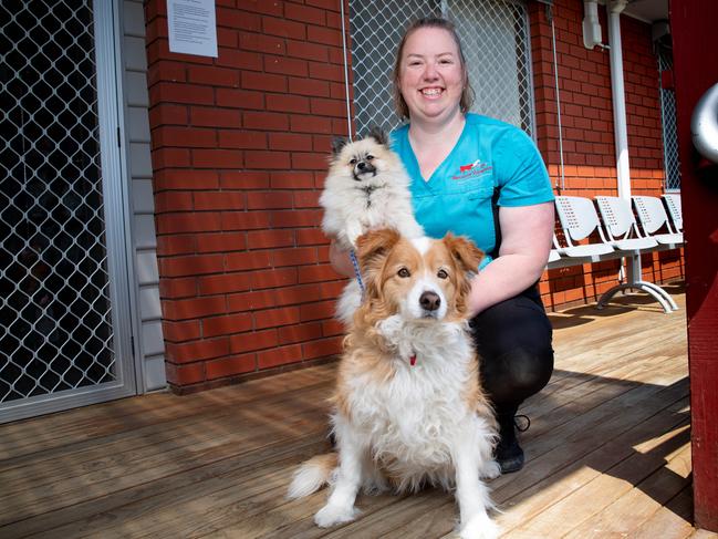 Veterinary Surgeon and President of AVA in Tasmania Dr Rhianna Booth at her Brighton Surgery with dogs Temu Charles and Breeze.Picture: Linda Higginson