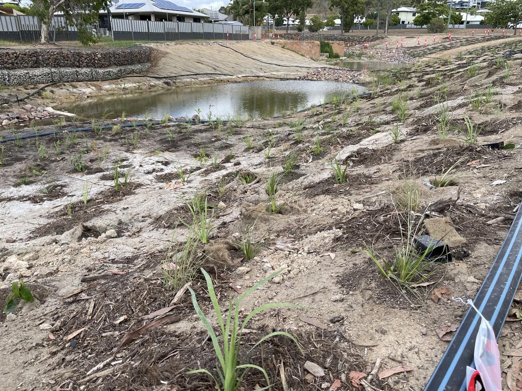 Habitat and sediment collection ponds were created for the Bushland Beach naturalisation project. Picture: Leighton Smith.