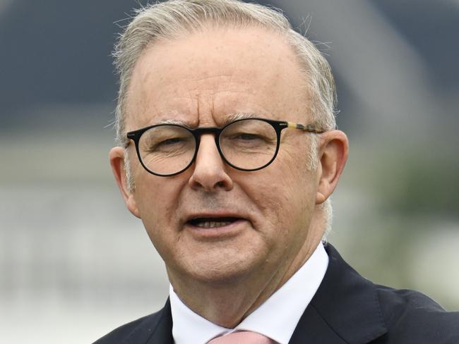 CANBERRA, AUSTRALIA  - NewsWire Photos - January 26, 2025:  Prime Minister Anthony Albanese during the National Citizenship and Flag Raising CeremonyÃÂ on the banks Lake Burley Griffin in Canberra. Picture: NewsWire / Martin Ollman