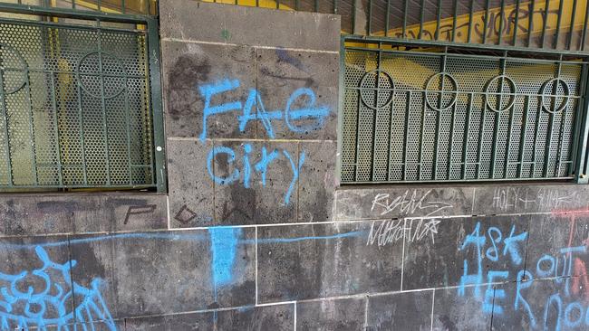 Homophobic graffiti has been left under Sandridge bridge since last December.