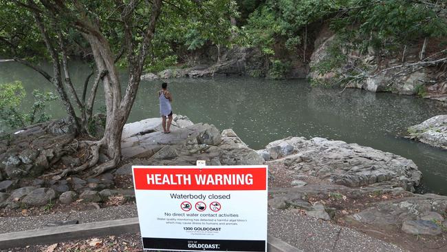 Currumbin Rock Pools Location