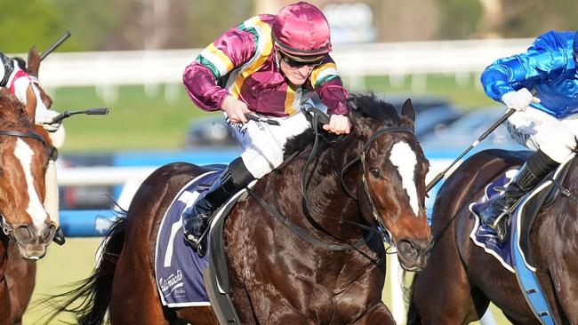 PB Lawrence Stakes winner Gentleman Roy has a date with star mare Pride Of Jenni in Saturday’s Group 1 Memsie Stakes at Caulfield. Picture: Racing Photos