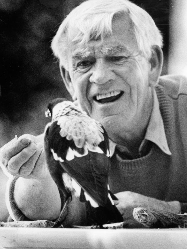 Lou Richards feeds a magpie. Picture: JAY TOWN