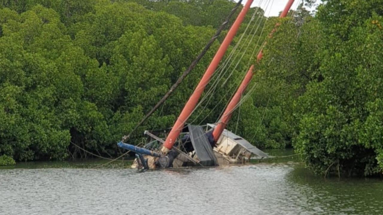 Blue Tang also sunk while up in the mangroves recently. Picture: Wayne Kennedy