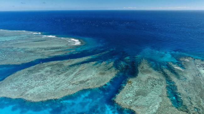 Great Barrier Reef’s lesser-known reefs for snorkeling and diving ...