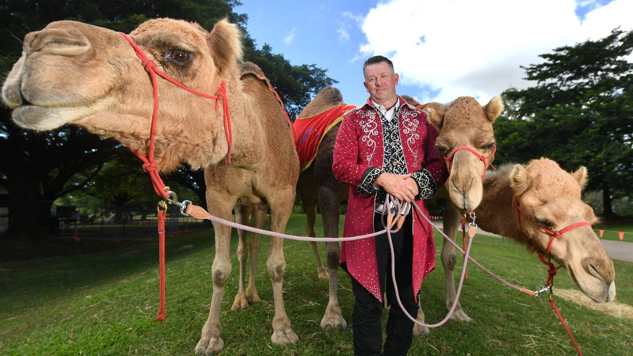Beau Pearson at Riverway with (L-R) Sahara, Ruby and Cleo from Hudsons Circus. Picture: Evan Morgan