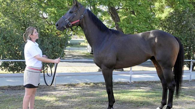 Grafton horse owner Fleur Henley with Rakhish prior to the 2019 NRRA Country Championships Qualifier. Picture: Matthew Elkerton