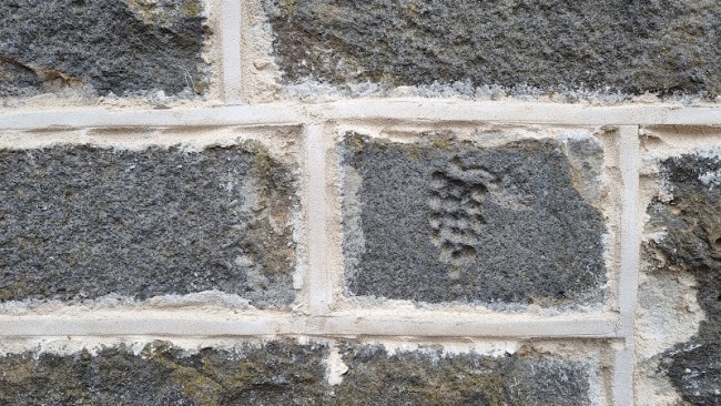 One of the many carvings that alleviated the devastating monotony. Picture: Kirrily Schwarz