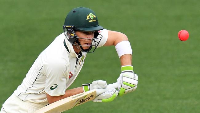 Tim Paine scored a half-century against England.