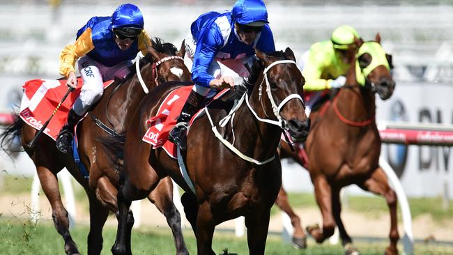 Winx takes out the Caulfield Stakes ahead of Black Heart Bart (left). Picture: AAP