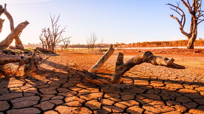 2019 was ranked the second warmest year on record, according to NOAA, NASA, and the Met Office. Picture: istock