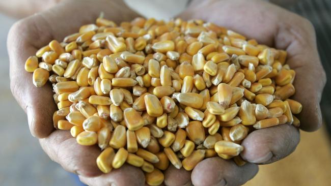 The USDA said earlier this month it would distribute $US16bn in direct payments to farmers . Picture: AP