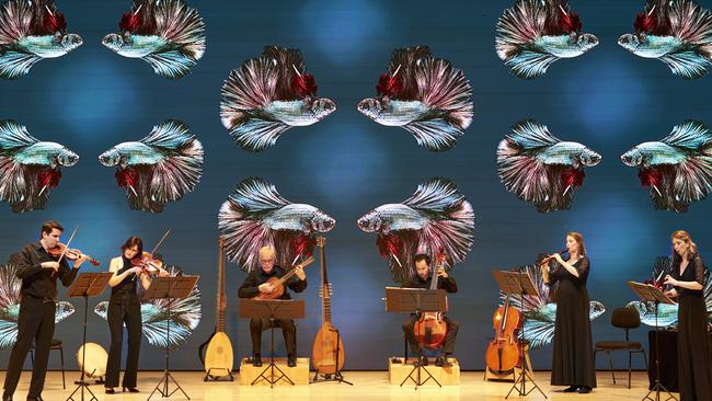 Australian Brandenburg Orchestra’s first live performance for eight months with Ayres and Graces concert at City Recital Hall. Picture: Keith Saunders