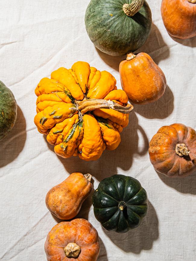 Pumpkins are the perfect in autumn. Photo: Nikki To