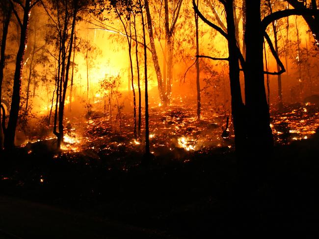 SHOCK: Graham McLean heard a helicopter and hurriedly checked the TFS fire map online. He saw his area highlighted by the flames signifying a bushfire alert.