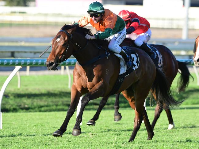Roman Aureus wins at Doomben