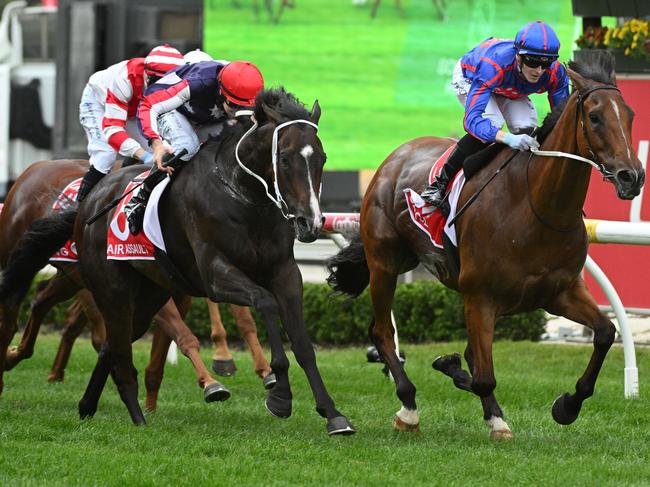 CRANBOURNE, AUSTRALIA - NOVEMBER 23: Ethan Brown riding Globe defeats Damian Lane riding Air Assault in Race 9, the Ladbrokes Cranbourne Cup during Melbourne Racing at Cranbourne Racecourse on November 23, 2024 in Melbourne, Australia. (Photo by Vince Caligiuri/Getty Images)