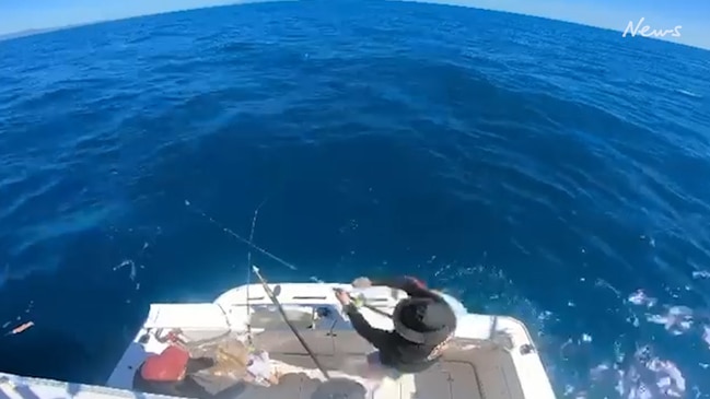 Watch: Girl, 7, catches her first marlin fishing off Townsville coast