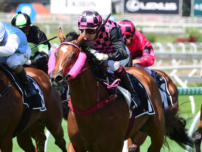 Startantes - credit Grant Peters, Trackside Photography