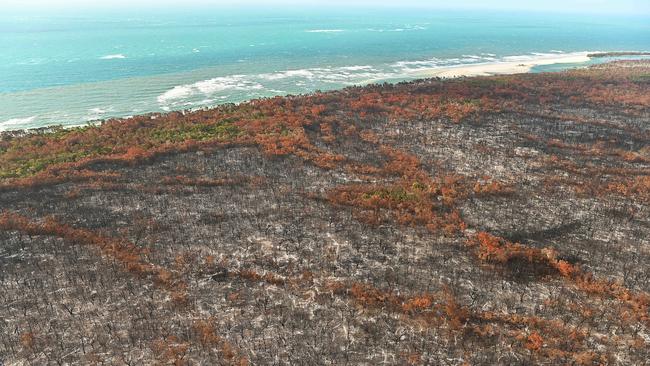 The burnt aftermath of the fire on World Heritage listed Fraser Island. There fire burnt to the beaches, and along the famous sand dunes. Pic Lyndon Mechielsen