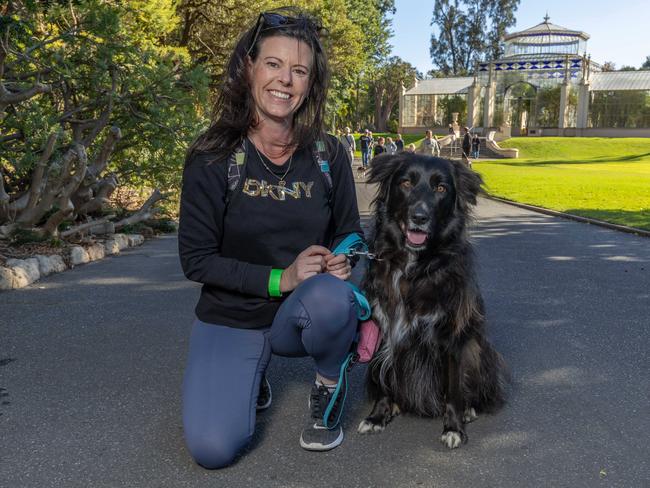 RSPCA SA's Million Paws Walk in Adelaide on May 25, 2025. Picture: Ben Clark