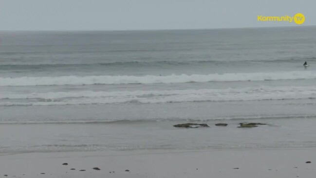 Replay: Phillip Island Junior Pro Day 3 - Poppy O'Reilly, Ava Holland, Grace Gosby, Ziggy Mackenzie (Heat 1, U16 girls QF)