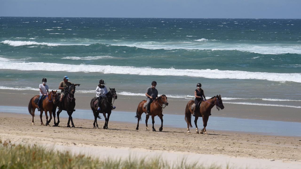 Humans have ridden horses as a means of transport and recreation for thousands of years. Picture: NCA NewsWire/Steve Holland