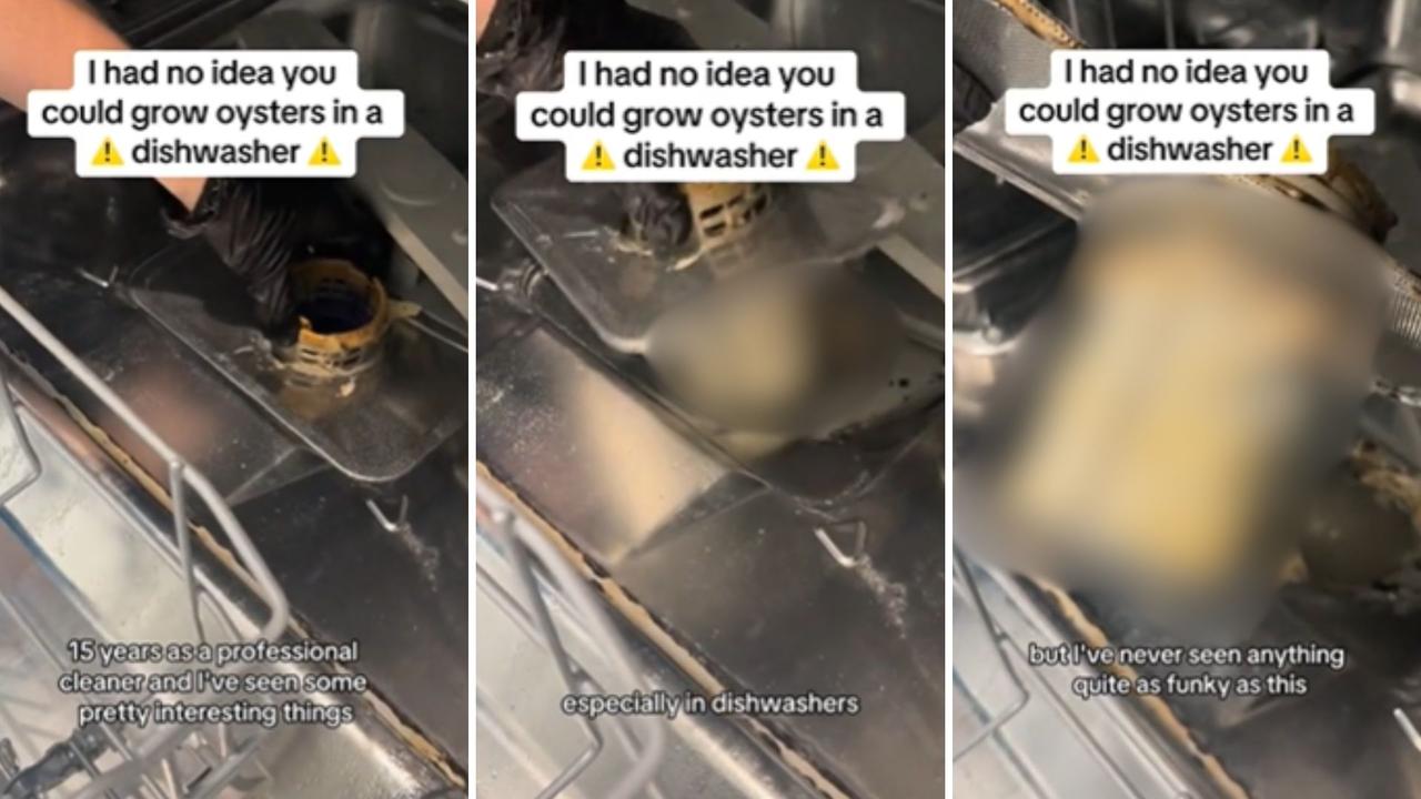 Herald Sun Gold Coast cleaner discovers oysters, mushrooms ‘growing' in dishwasher during bond clean