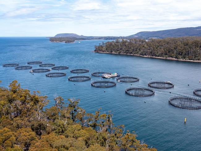 Tassal salmon pens at Long Bay, Tasman Peninsula. Pic; Supplied.