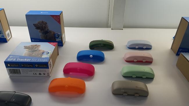 The devices come in different colours. Photo: Tanya French