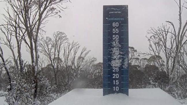 Perisher also reported strong snow and start to the season. Picture: NewsWire handout